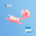 Flexible Nylon Denture (Thermoplastic)