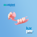 Flexible Nylon Partial Denture