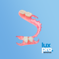 Flexible Thermoplastic Denture (PEEK / PMMA)