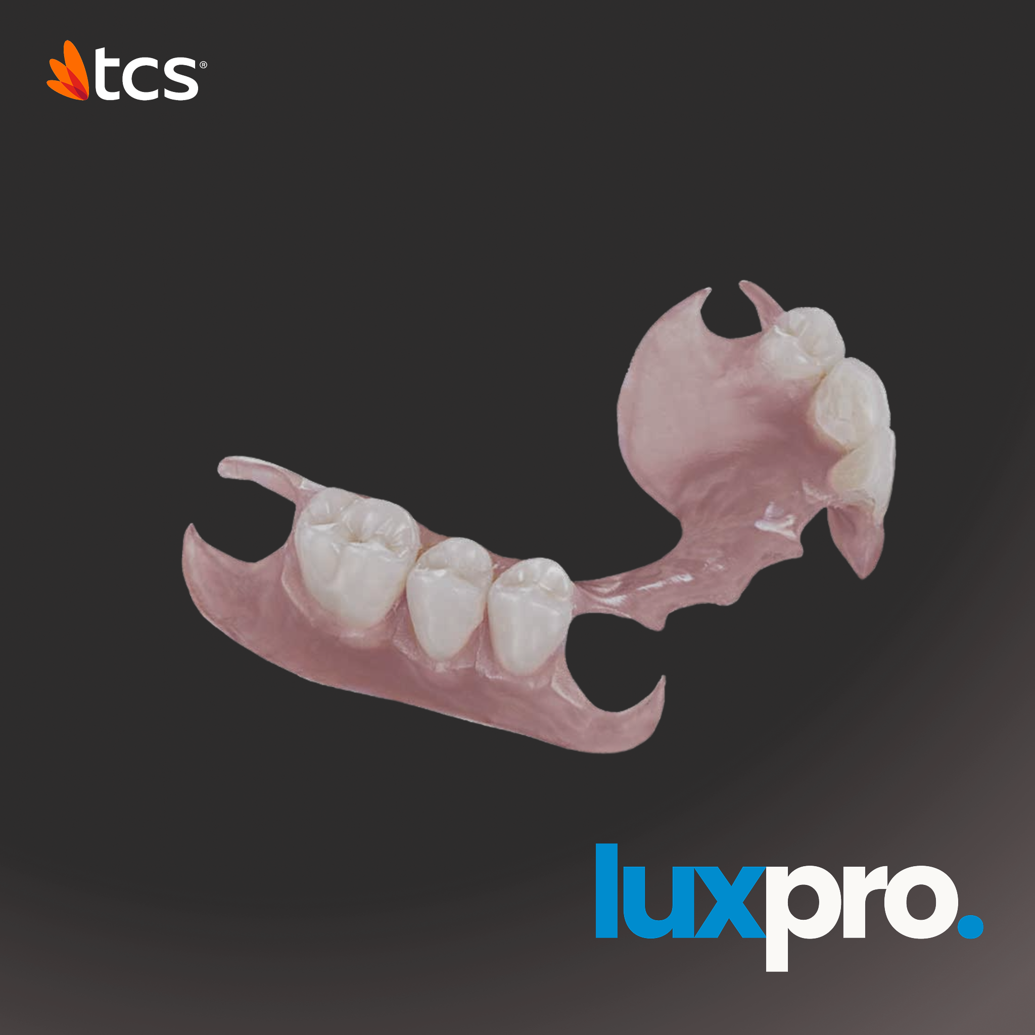 Flexible Nylon Denture (Thermoplastic)