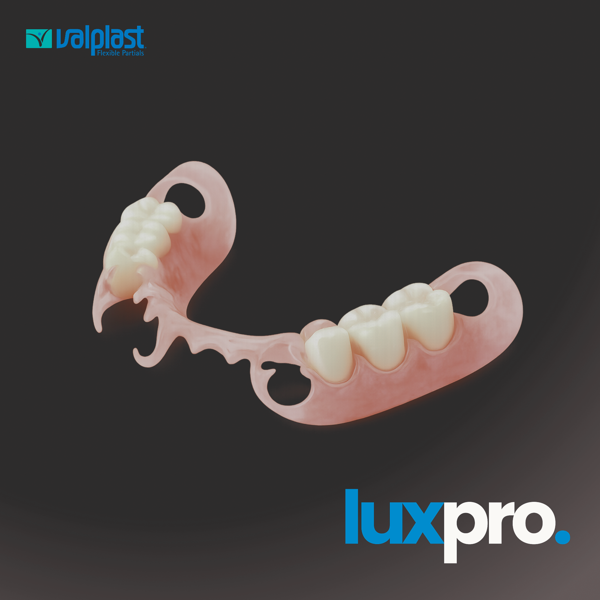Flexible Nylon Partial Denture